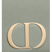Поясная сумка Christian Dior Montaigne серая